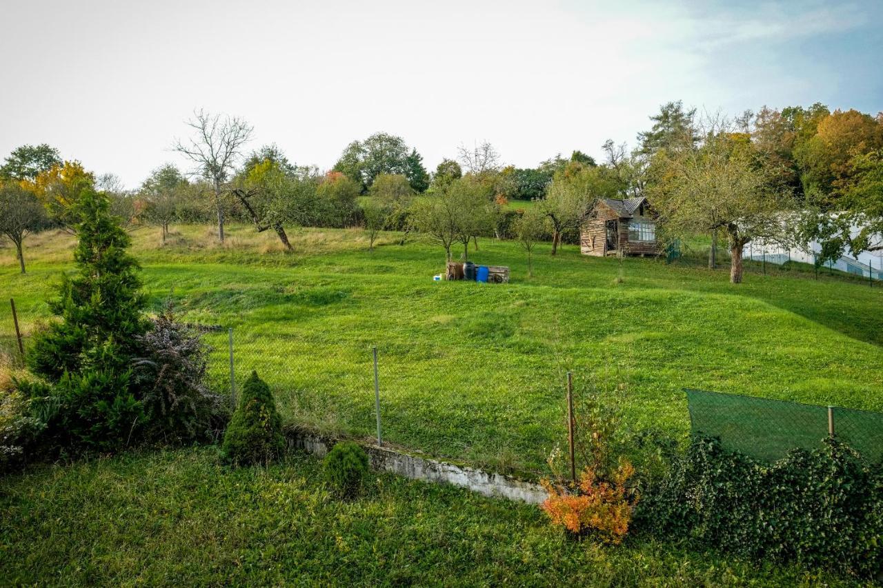 Vila Alice Luhačovice Esterno foto